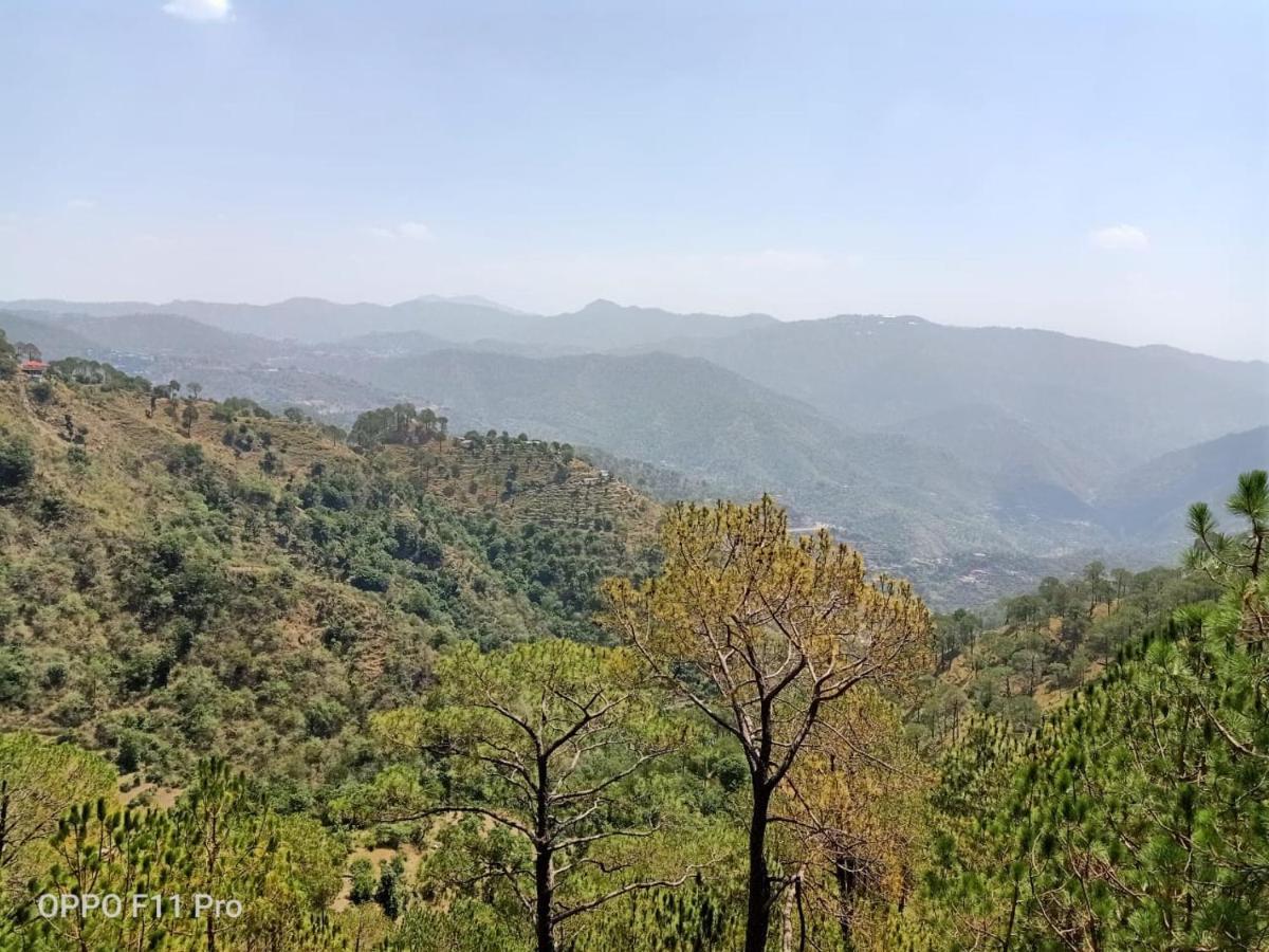 Pine Peak Villa Kasauli Kültér fotó