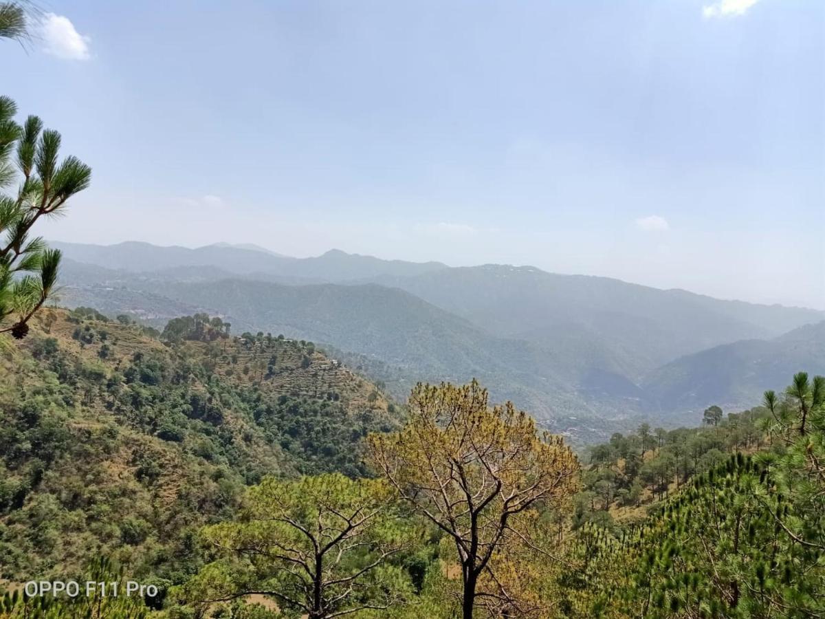 Pine Peak Villa Kasauli Kültér fotó